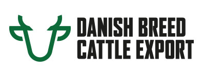 Danish Beef Cattle Export